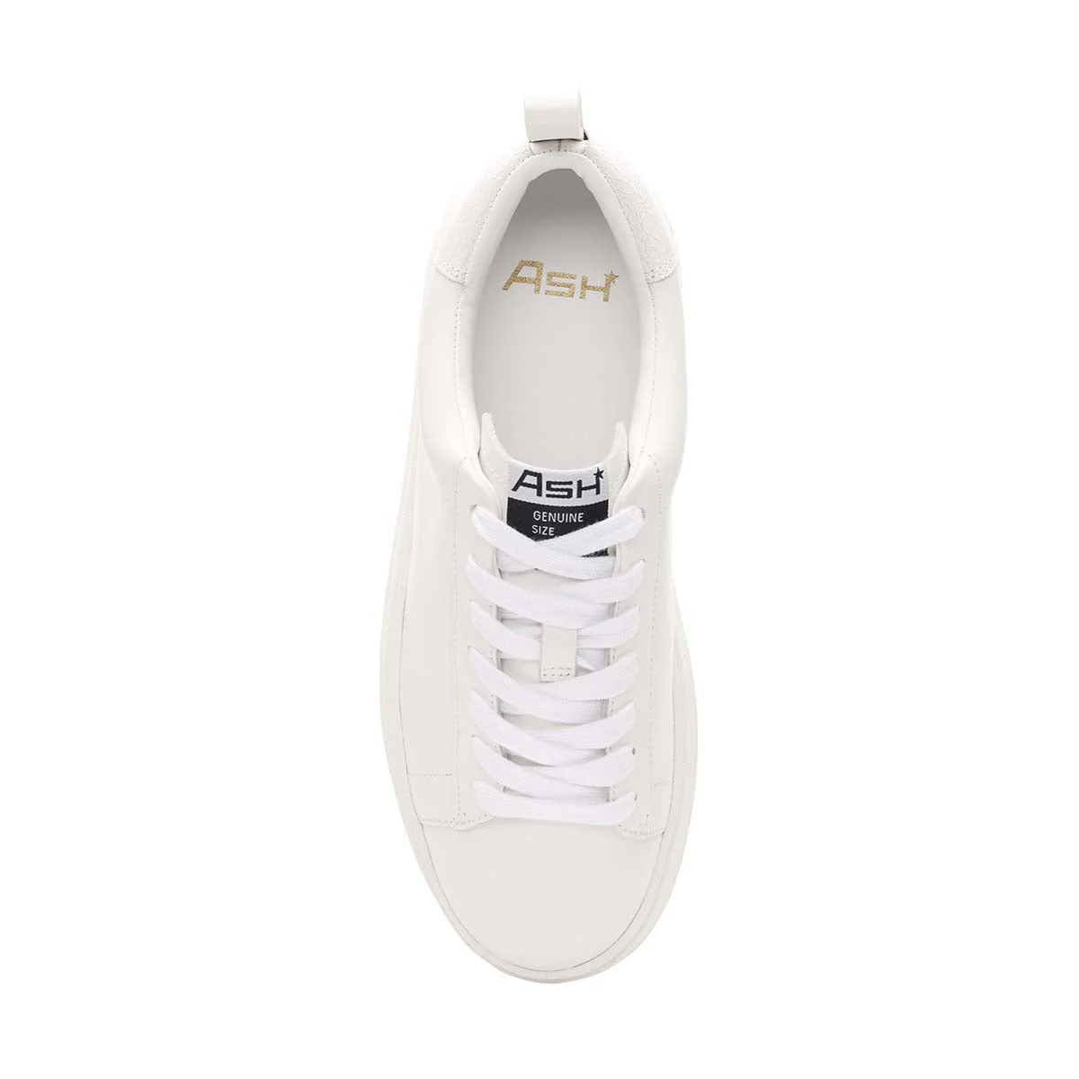 Maya Platform with Metallic Accent | White/White - Image 4