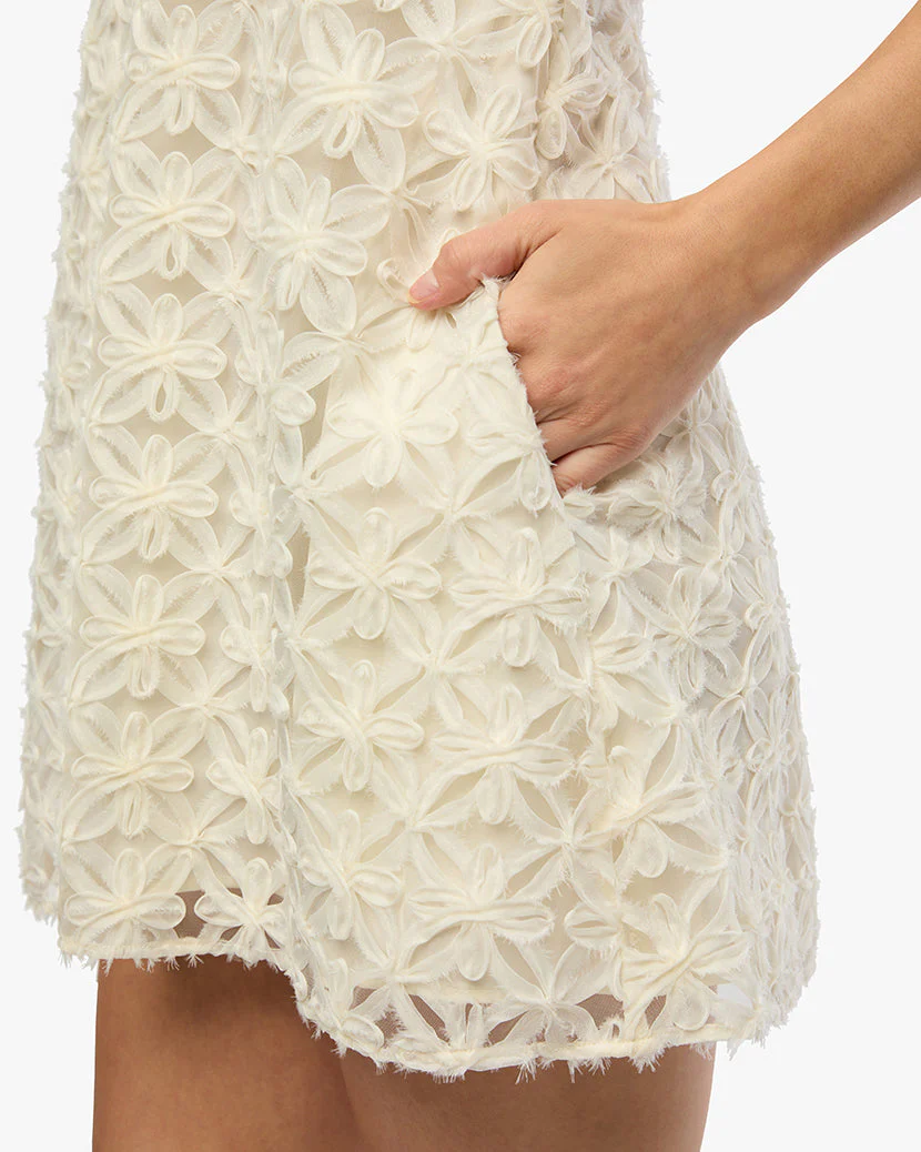 A-line Lace Mini Dress | Ivory - Image 5